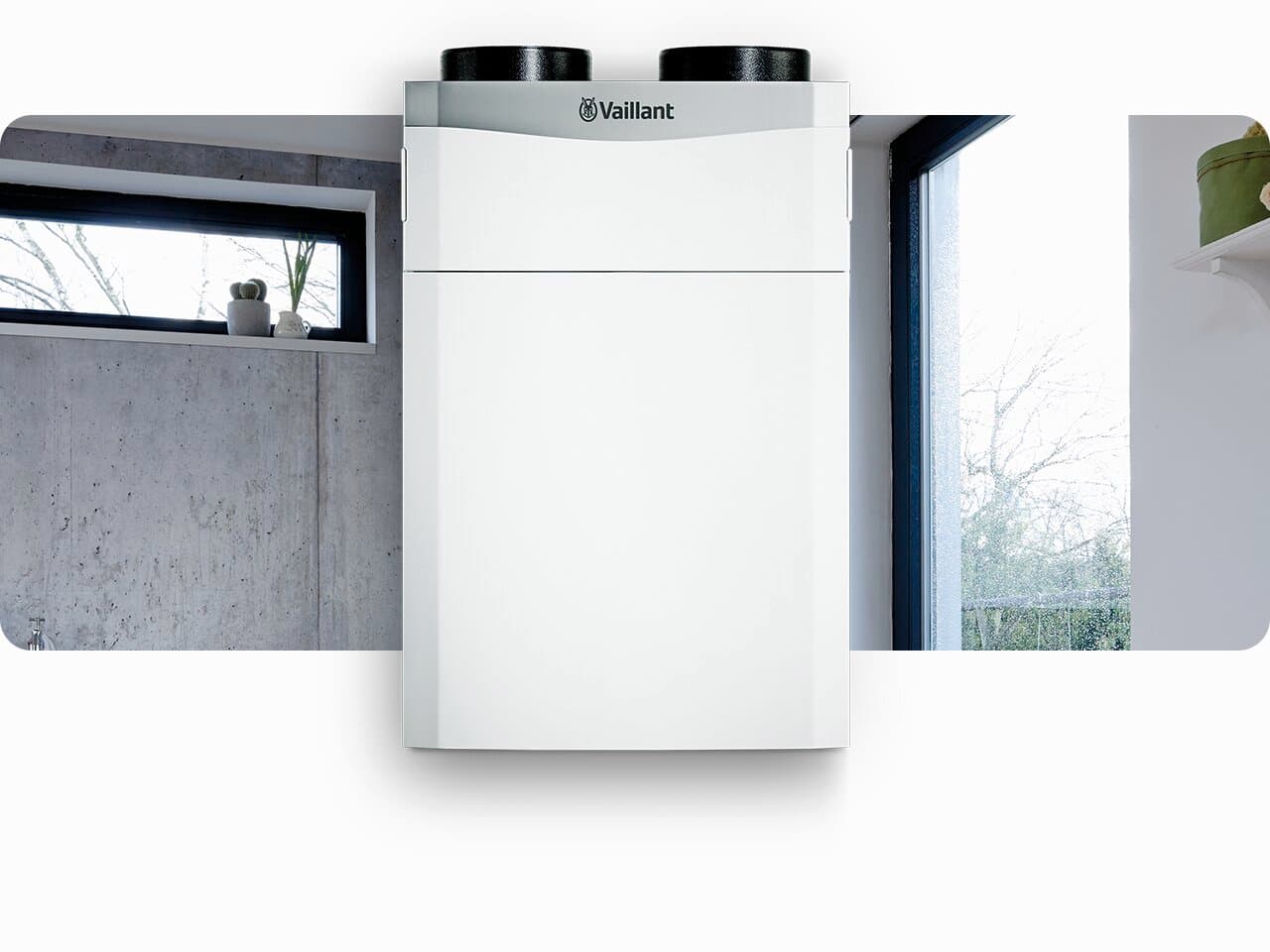 закрепнува