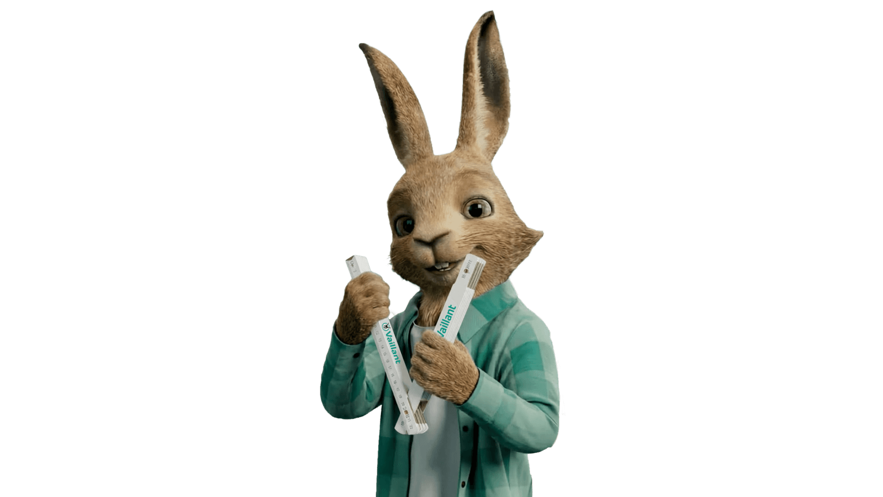 Зајакот Вајлан држи преклопно правило