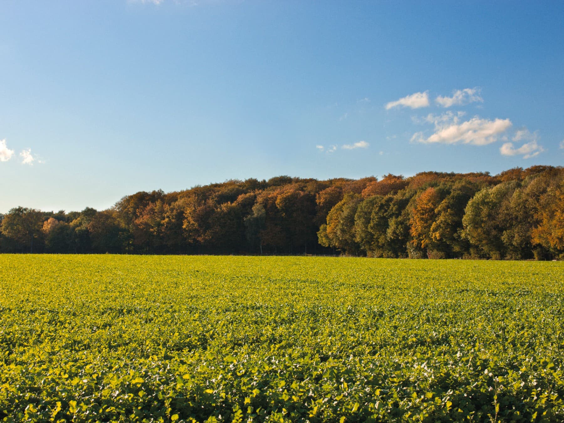 резервирано место
