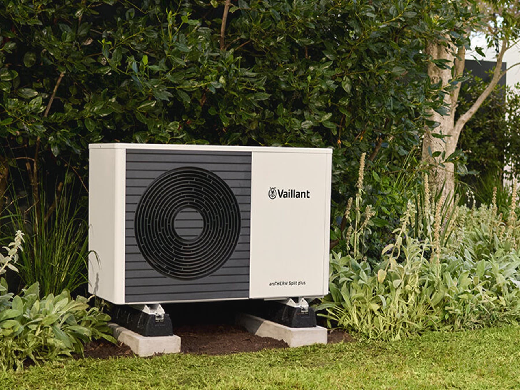 Поглед од птичја перспектива на градина