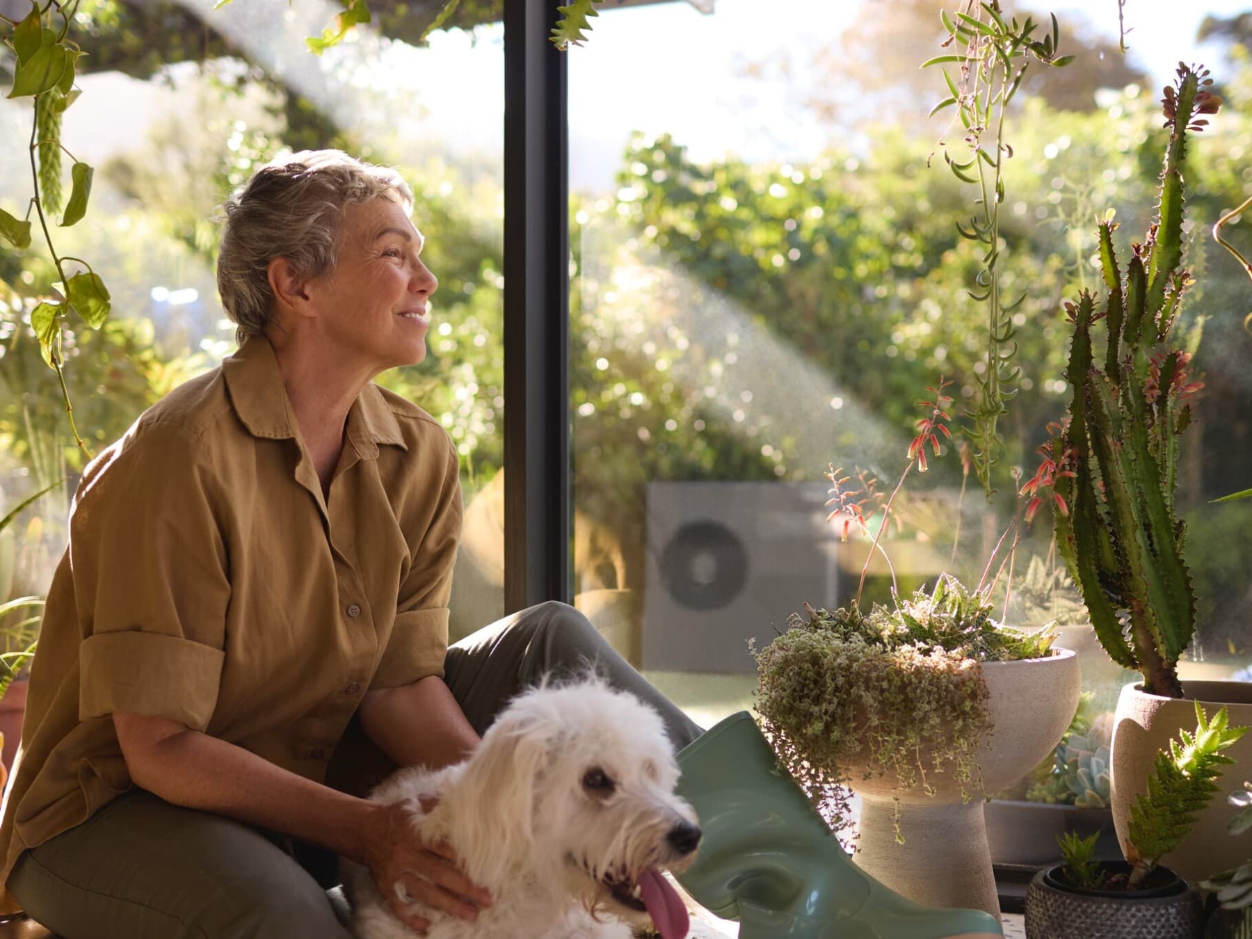 Поглед од птичја перспектива на градина