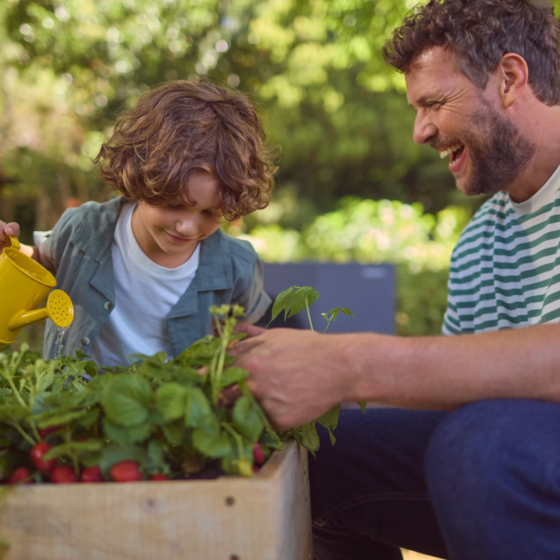 Татко полева ротквици заедно со својот син